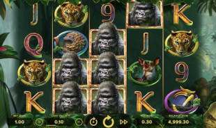 Gorilla Kindgom